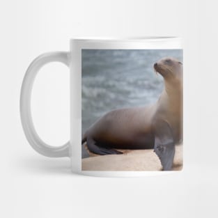 Sea Lion Mug